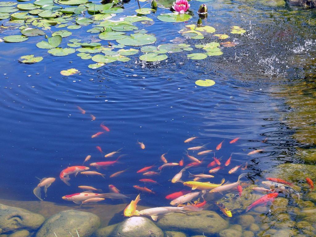 Hotel Restaurant Les Jardins D'Épône Dış mekan fotoğraf